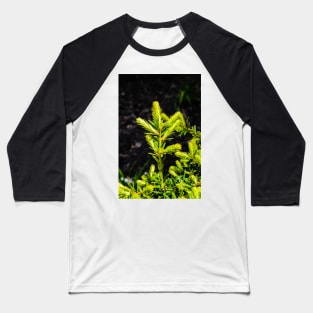 Evergreen in the Sun Baseball T-Shirt